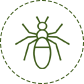 Healthy Home Pest Control LLC